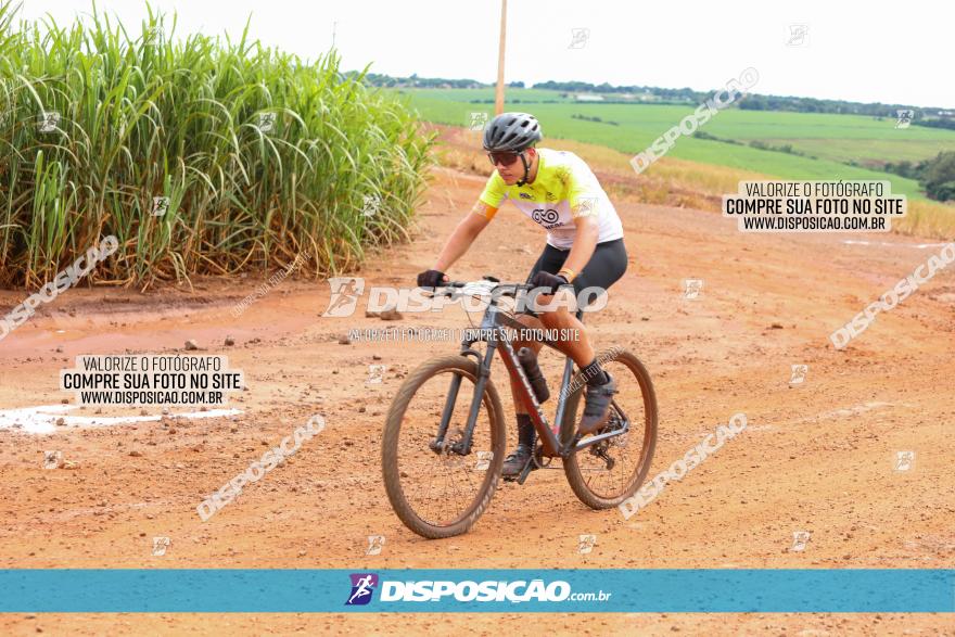 1ª EDIÇÃO DESAFIO ABELHA GRANDE - XCM