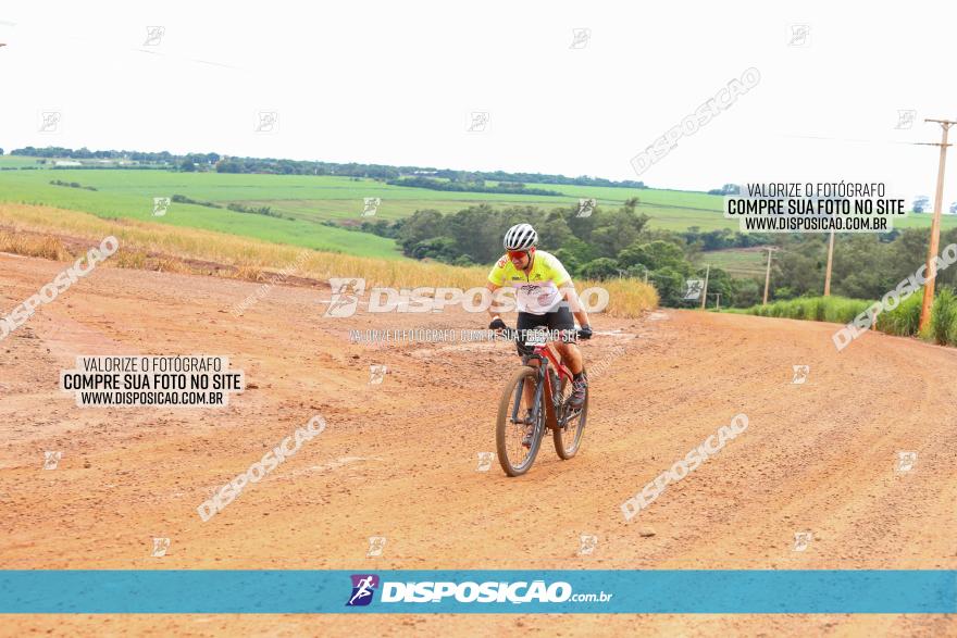 1ª EDIÇÃO DESAFIO ABELHA GRANDE - XCM