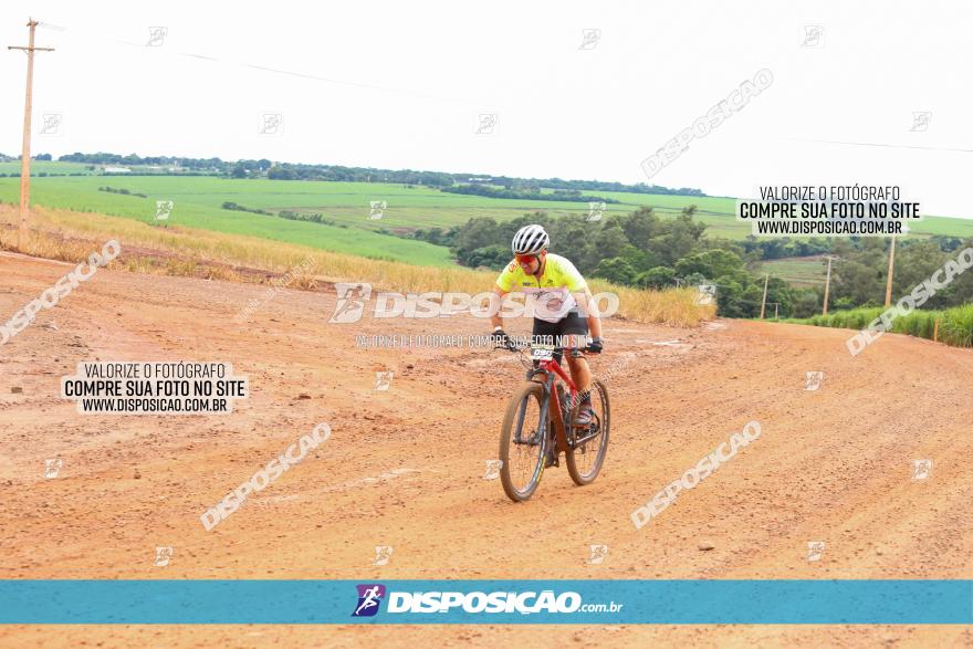 1ª EDIÇÃO DESAFIO ABELHA GRANDE - XCM