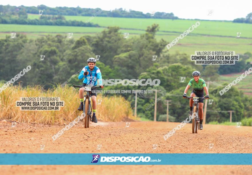 1ª EDIÇÃO DESAFIO ABELHA GRANDE - XCM