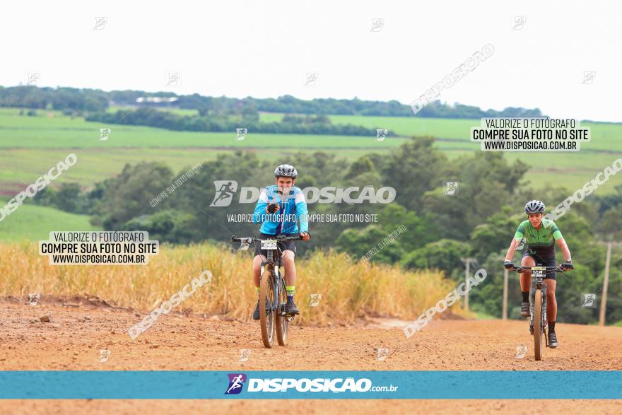 1ª EDIÇÃO DESAFIO ABELHA GRANDE - XCM