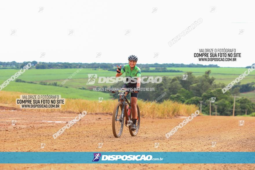 1ª EDIÇÃO DESAFIO ABELHA GRANDE - XCM