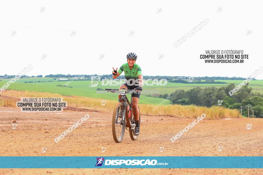 1ª EDIÇÃO DESAFIO ABELHA GRANDE - XCM