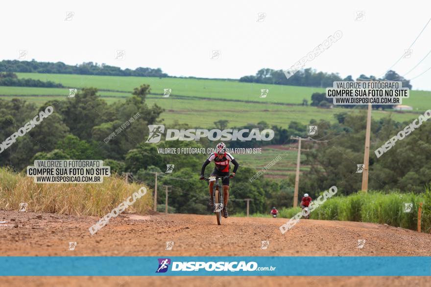 1ª EDIÇÃO DESAFIO ABELHA GRANDE - XCM