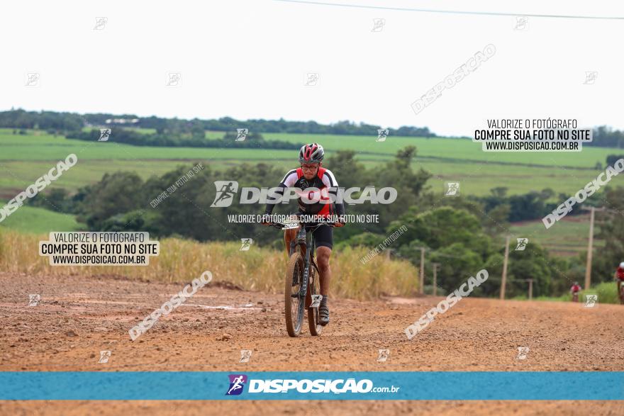 1ª EDIÇÃO DESAFIO ABELHA GRANDE - XCM