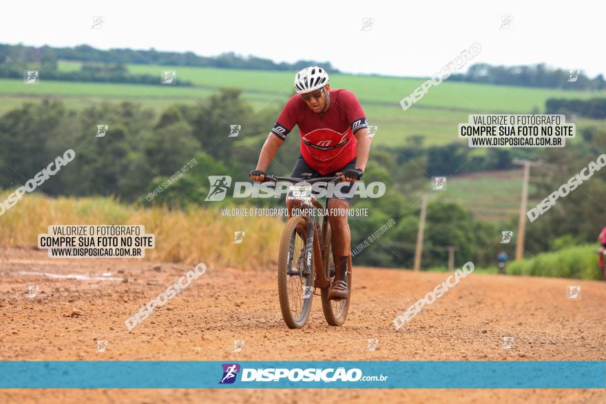 1ª EDIÇÃO DESAFIO ABELHA GRANDE - XCM