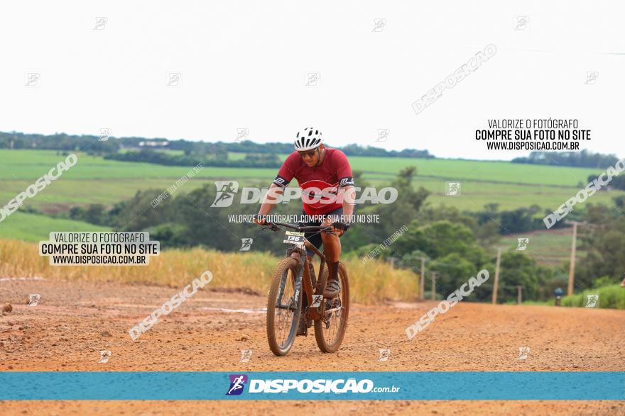 1ª EDIÇÃO DESAFIO ABELHA GRANDE - XCM