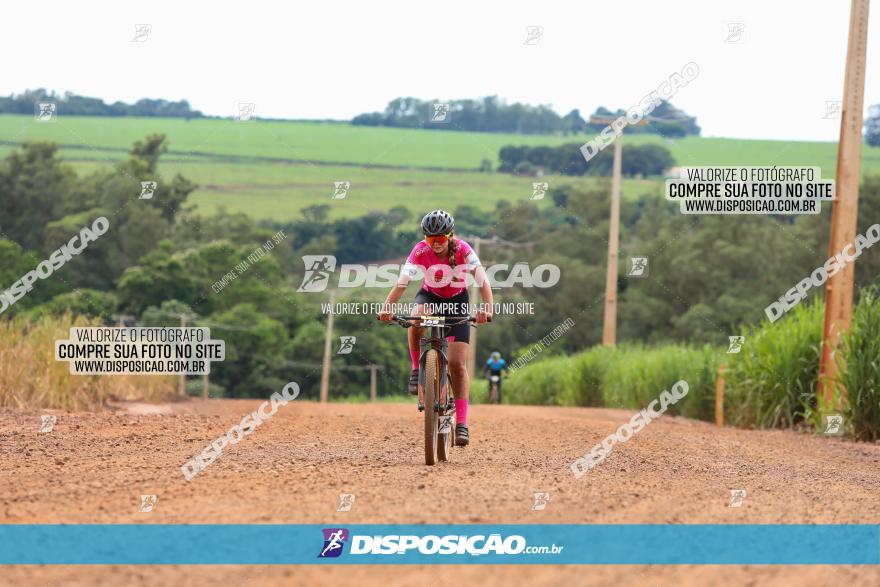 1ª EDIÇÃO DESAFIO ABELHA GRANDE - XCM