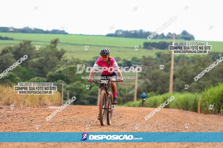 1ª EDIÇÃO DESAFIO ABELHA GRANDE - XCM