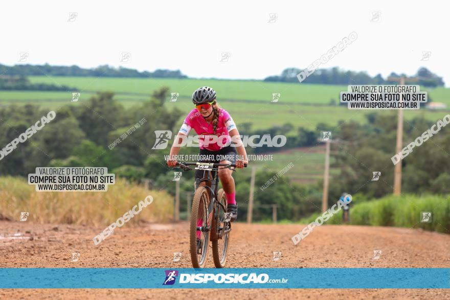 1ª EDIÇÃO DESAFIO ABELHA GRANDE - XCM