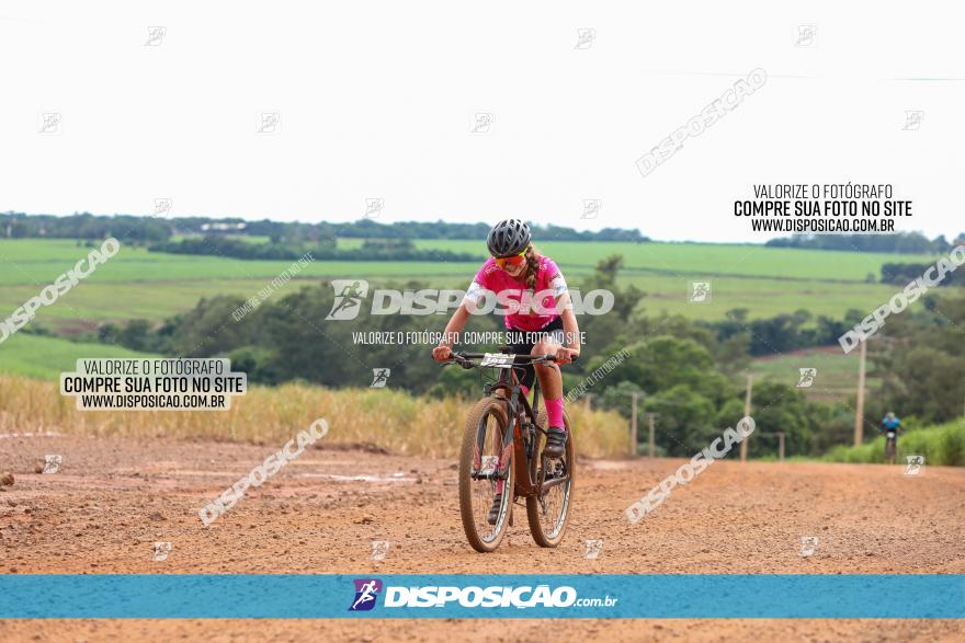 1ª EDIÇÃO DESAFIO ABELHA GRANDE - XCM