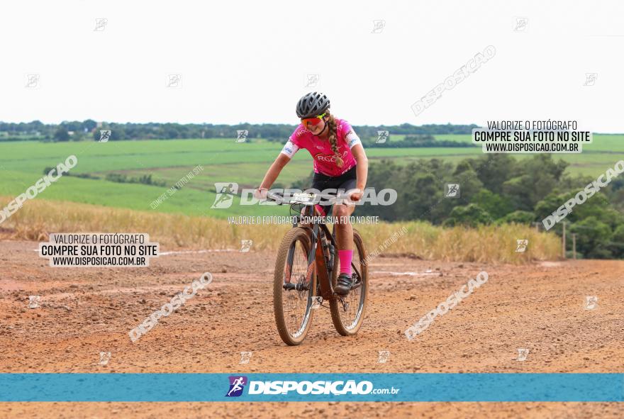 1ª EDIÇÃO DESAFIO ABELHA GRANDE - XCM