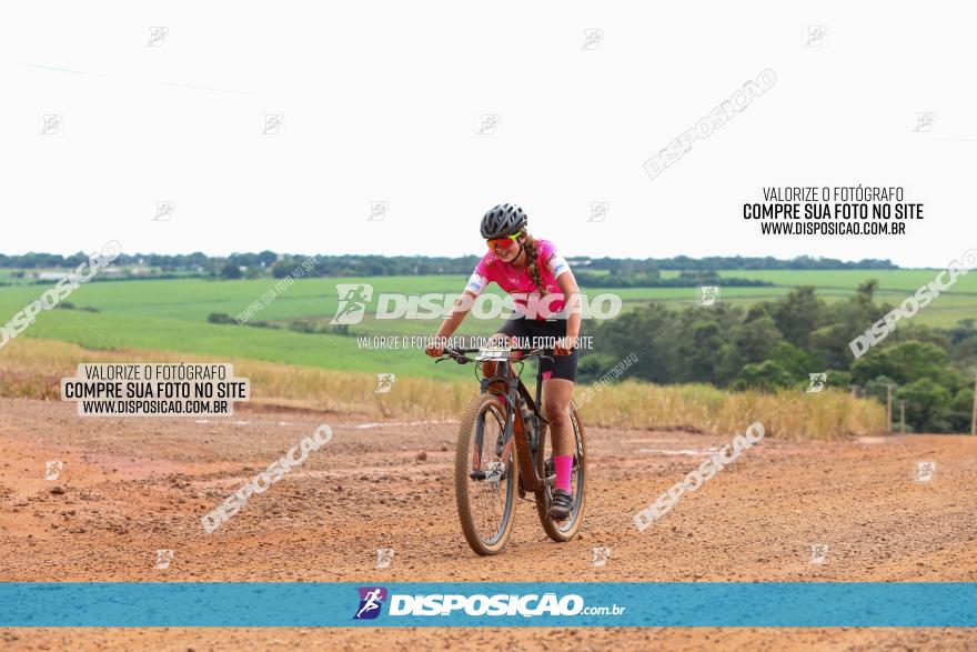 1ª EDIÇÃO DESAFIO ABELHA GRANDE - XCM