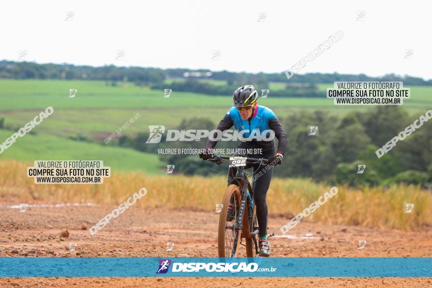 1ª EDIÇÃO DESAFIO ABELHA GRANDE - XCM