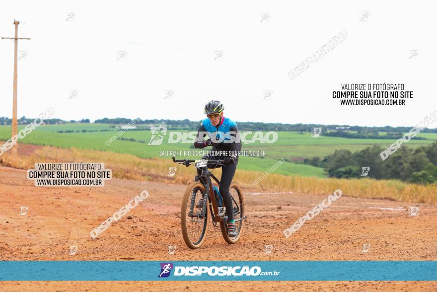 1ª EDIÇÃO DESAFIO ABELHA GRANDE - XCM