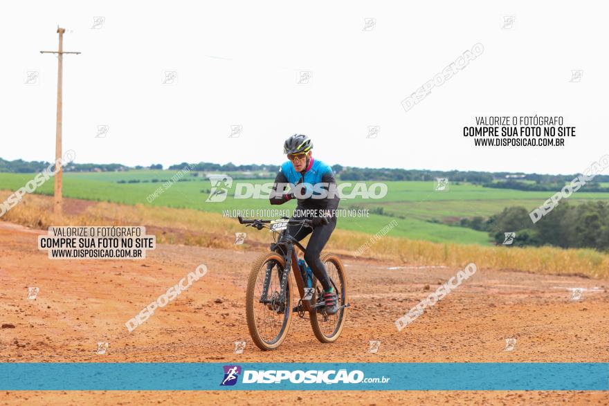 1ª EDIÇÃO DESAFIO ABELHA GRANDE - XCM