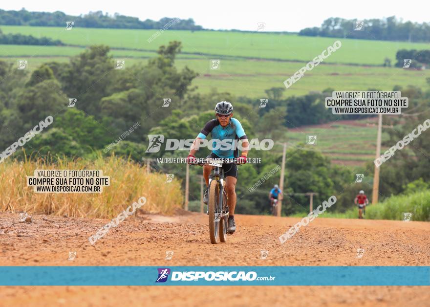 1ª EDIÇÃO DESAFIO ABELHA GRANDE - XCM