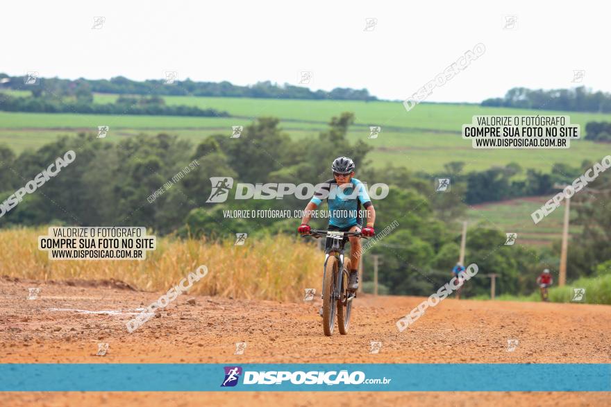 1ª EDIÇÃO DESAFIO ABELHA GRANDE - XCM