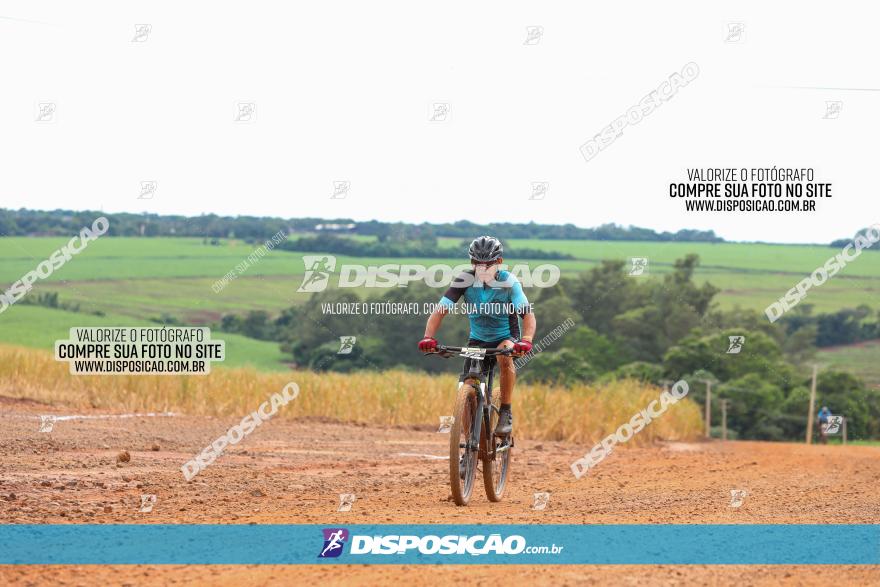 1ª EDIÇÃO DESAFIO ABELHA GRANDE - XCM