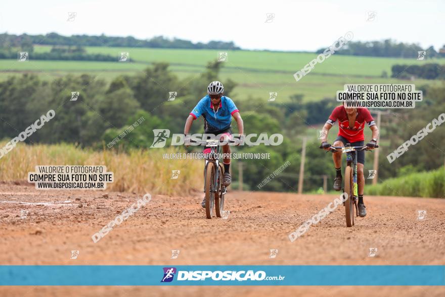 1ª EDIÇÃO DESAFIO ABELHA GRANDE - XCM