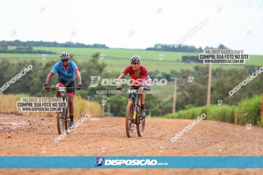 1ª EDIÇÃO DESAFIO ABELHA GRANDE - XCM