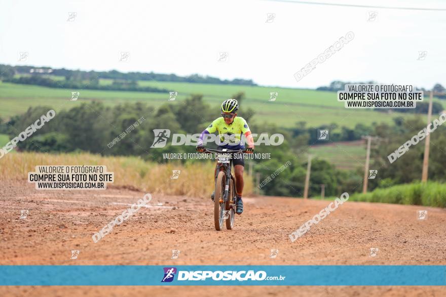 1ª EDIÇÃO DESAFIO ABELHA GRANDE - XCM