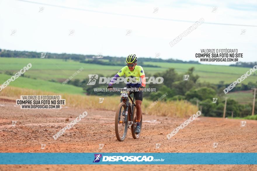 1ª EDIÇÃO DESAFIO ABELHA GRANDE - XCM