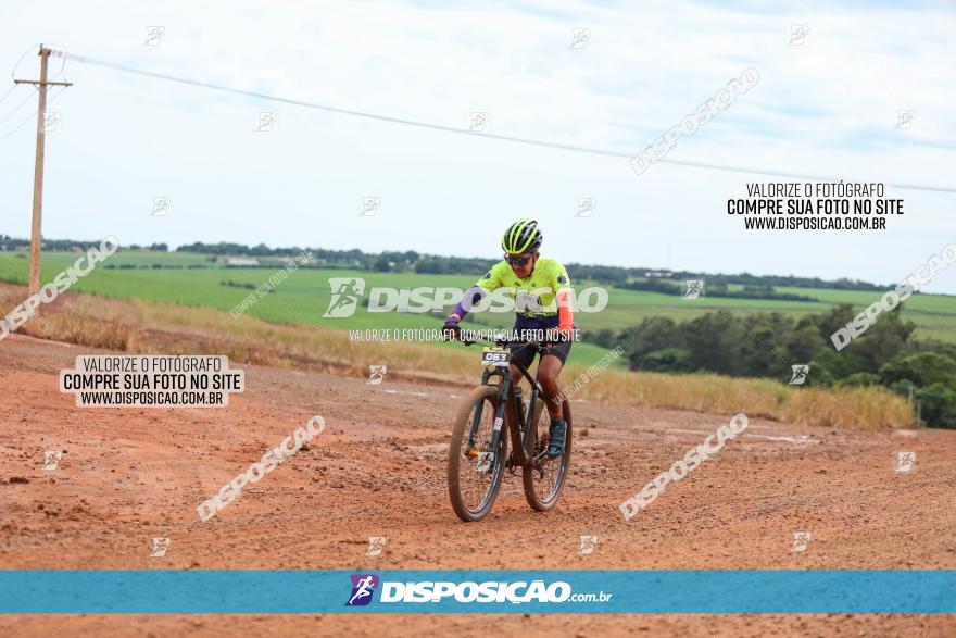 1ª EDIÇÃO DESAFIO ABELHA GRANDE - XCM