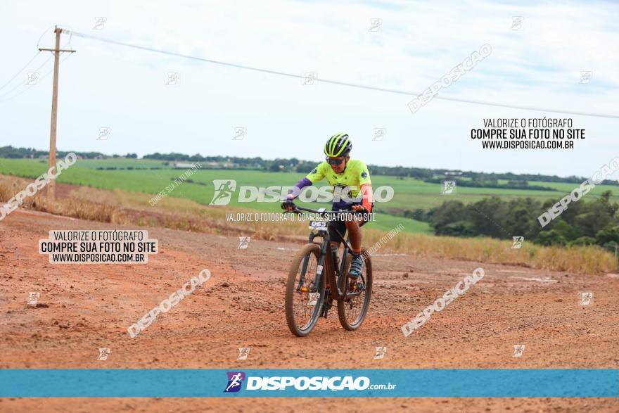 1ª EDIÇÃO DESAFIO ABELHA GRANDE - XCM