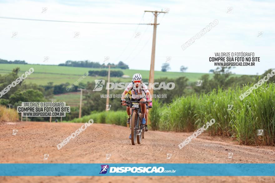 1ª EDIÇÃO DESAFIO ABELHA GRANDE - XCM