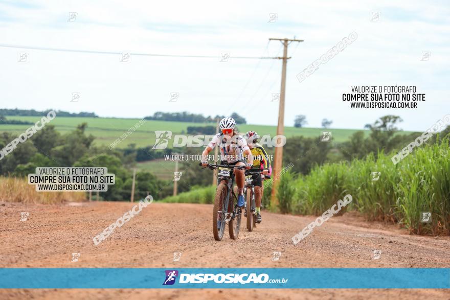 1ª EDIÇÃO DESAFIO ABELHA GRANDE - XCM