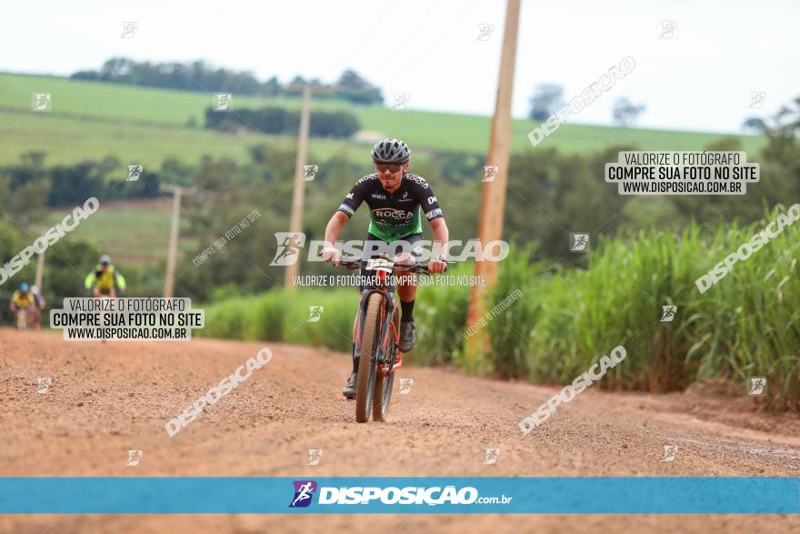 1ª EDIÇÃO DESAFIO ABELHA GRANDE - XCM