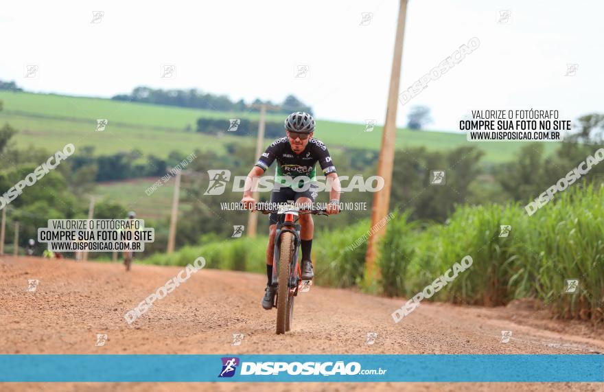 1ª EDIÇÃO DESAFIO ABELHA GRANDE - XCM