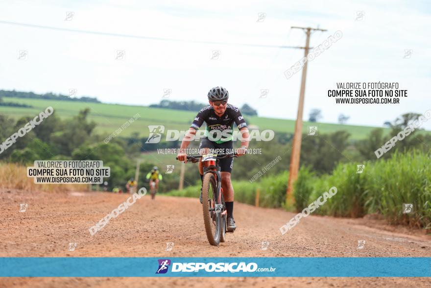 1ª EDIÇÃO DESAFIO ABELHA GRANDE - XCM