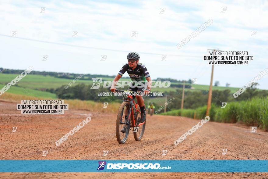 1ª EDIÇÃO DESAFIO ABELHA GRANDE - XCM