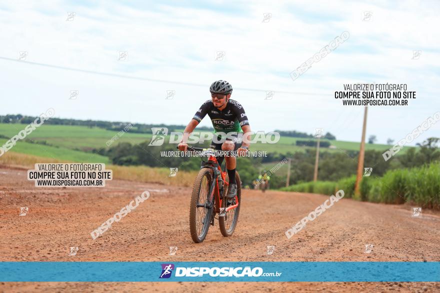 1ª EDIÇÃO DESAFIO ABELHA GRANDE - XCM