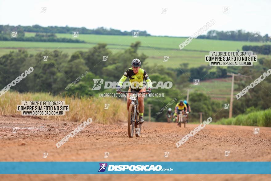 1ª EDIÇÃO DESAFIO ABELHA GRANDE - XCM