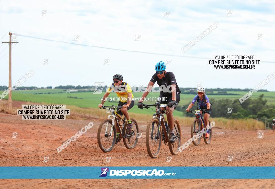 1ª EDIÇÃO DESAFIO ABELHA GRANDE - XCM