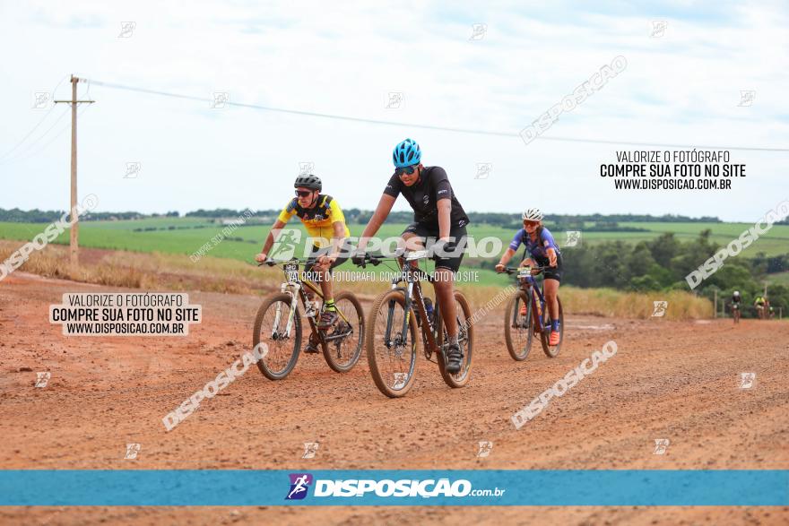 1ª EDIÇÃO DESAFIO ABELHA GRANDE - XCM