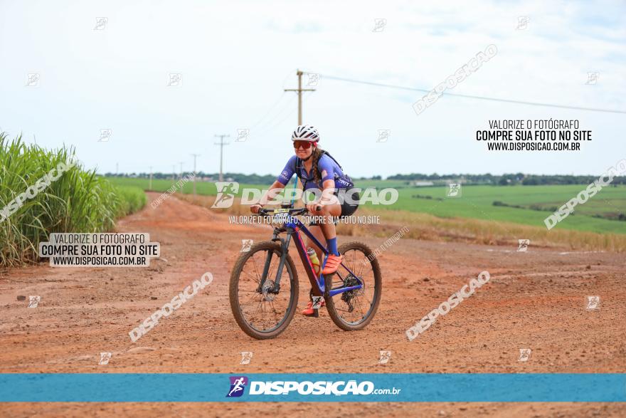 1ª EDIÇÃO DESAFIO ABELHA GRANDE - XCM