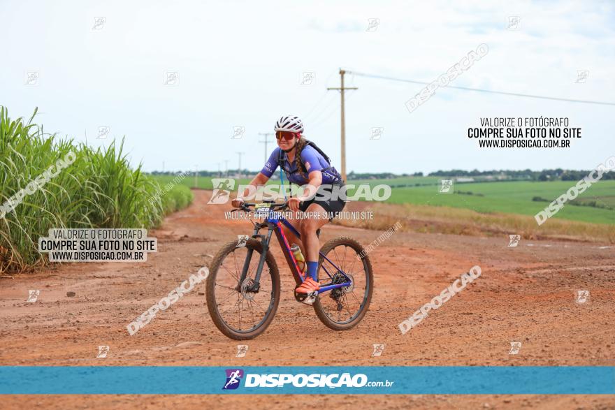 1ª EDIÇÃO DESAFIO ABELHA GRANDE - XCM