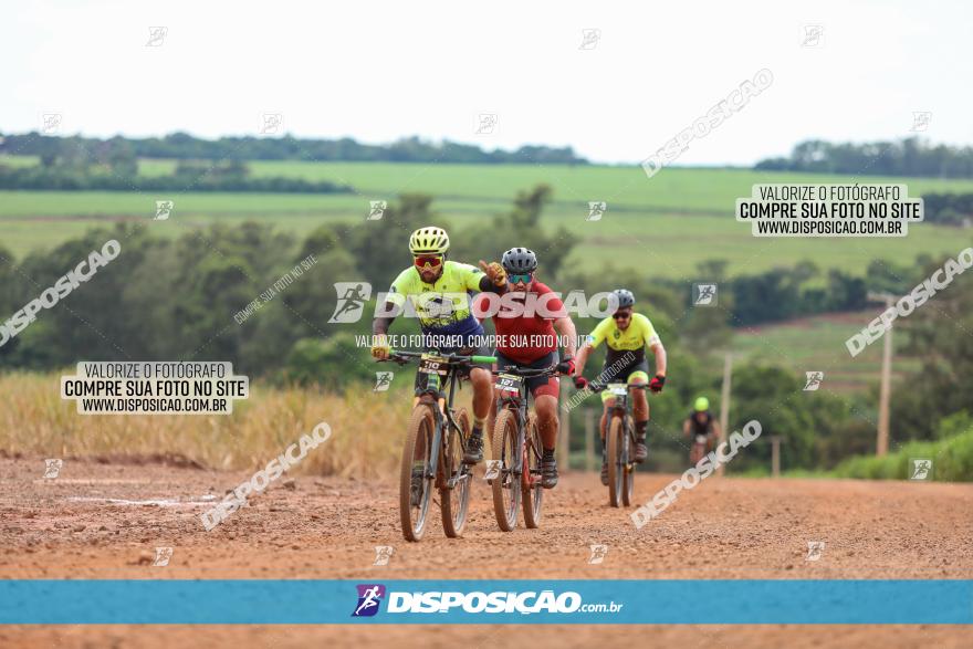 1ª EDIÇÃO DESAFIO ABELHA GRANDE - XCM