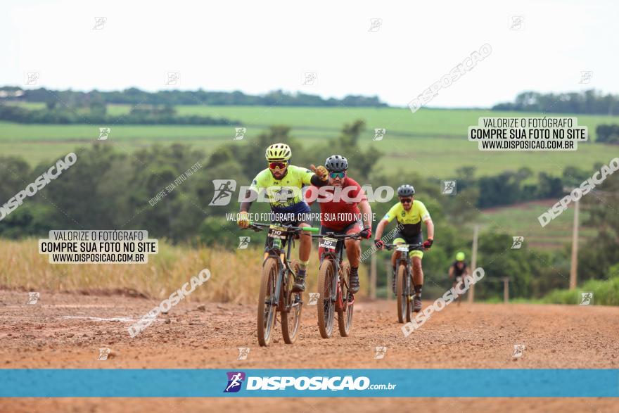 1ª EDIÇÃO DESAFIO ABELHA GRANDE - XCM