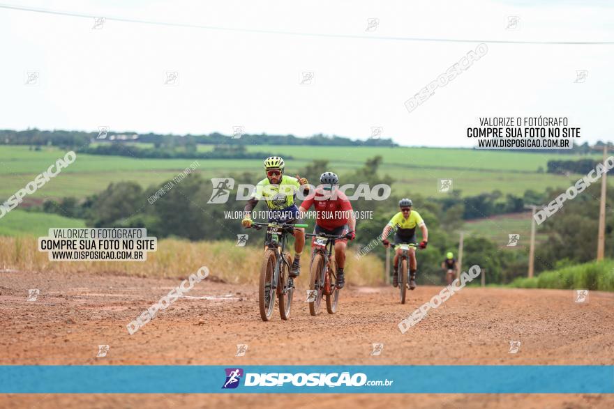 1ª EDIÇÃO DESAFIO ABELHA GRANDE - XCM