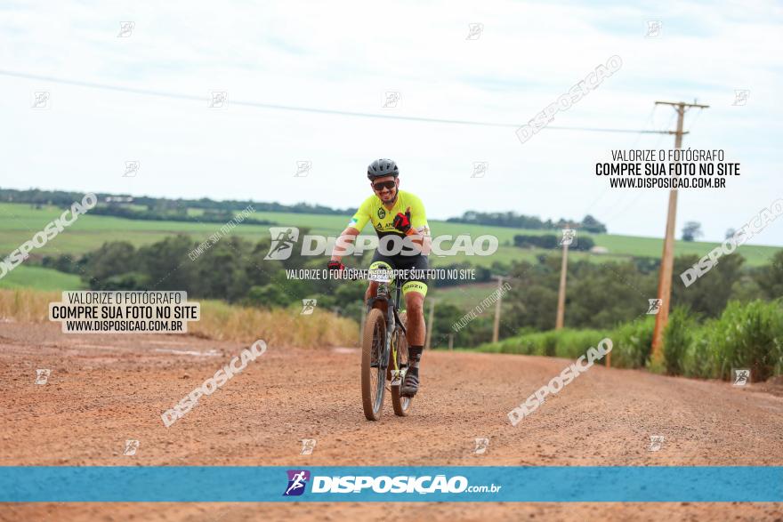 1ª EDIÇÃO DESAFIO ABELHA GRANDE - XCM