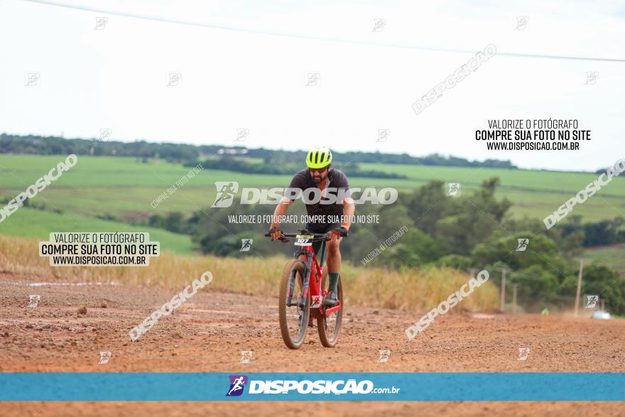 1ª EDIÇÃO DESAFIO ABELHA GRANDE - XCM