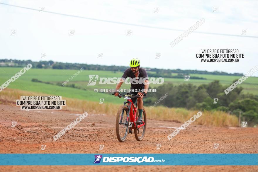 1ª EDIÇÃO DESAFIO ABELHA GRANDE - XCM