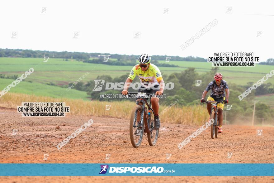 1ª EDIÇÃO DESAFIO ABELHA GRANDE - XCM