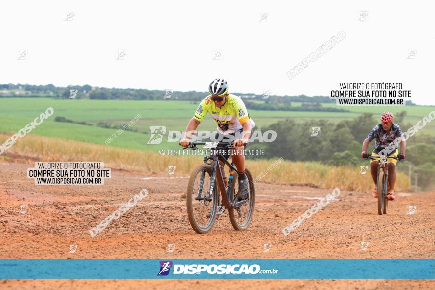 1ª EDIÇÃO DESAFIO ABELHA GRANDE - XCM