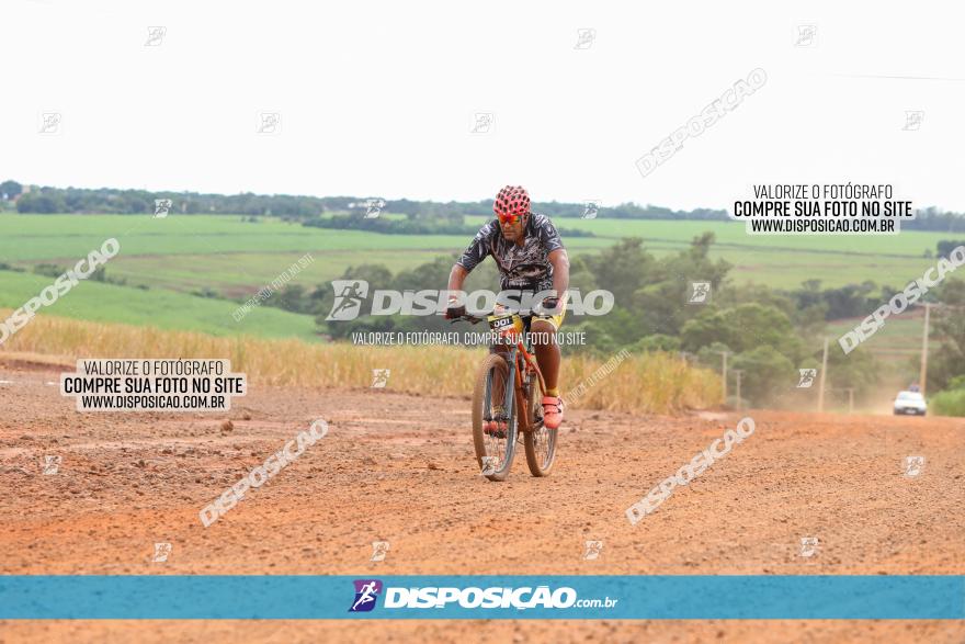 1ª EDIÇÃO DESAFIO ABELHA GRANDE - XCM